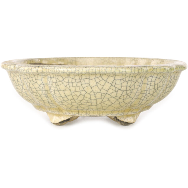 Lotus gebroken witte craquelé bonsaipot van Terahata Satomi Mazan - 182 x 154 x 48 mm