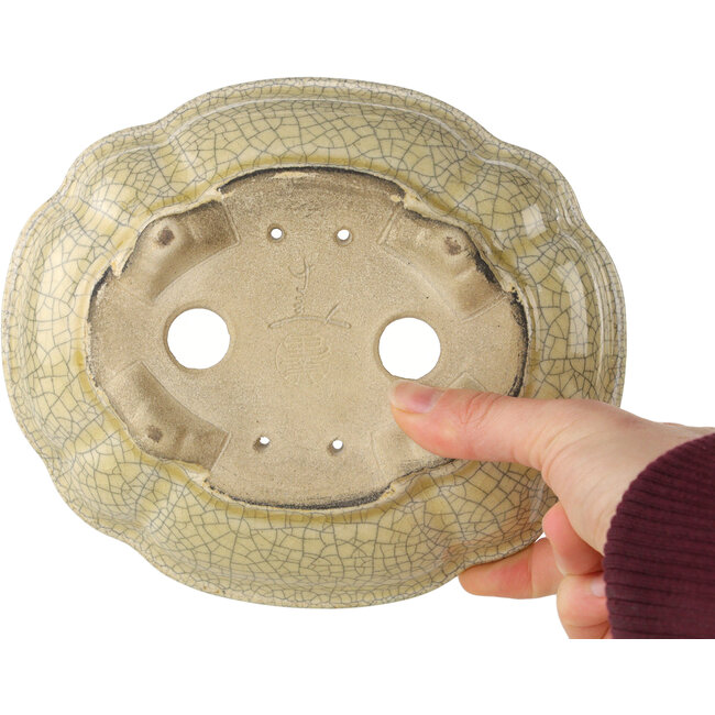 Maceta para bonsái craquelé Lotus blanquecino de Terahata Satomi Mazan - 182 x 154 x 48 mm