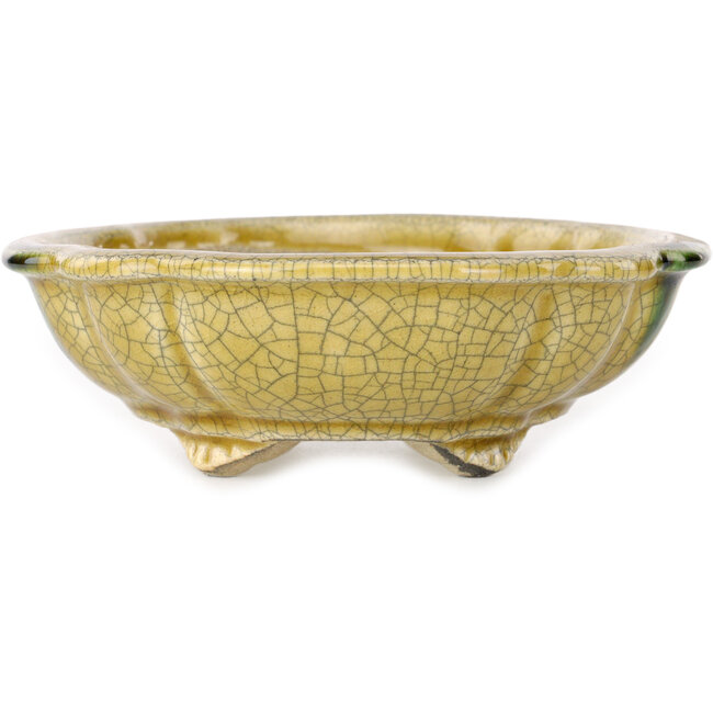 Craquelé amarillo loto con maceta de bonsái con detalles en verde de Terahata Satomi Mazan - 182 x 154 x 48 mm