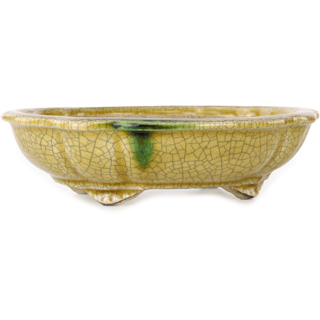 Lotus yellow craquelé with a green accent bonsai pot by Terahata Satomi Mazan - 182 x 154 x 48 mm
