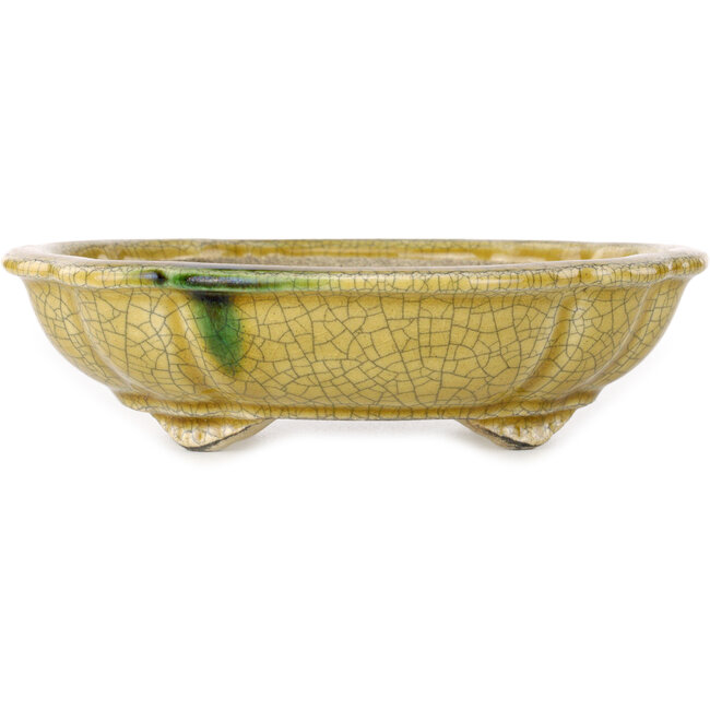 Lotusgelbes Craquelé mit grünem Akzent, Bonsaischale von Terahata Satomi Mazan – 182 x 154 x 48 mm