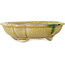 Craquelé amarillo loto con maceta de bonsái con detalles en verde de Terahata Satomi Mazan - 182 x 154 x 48 mm