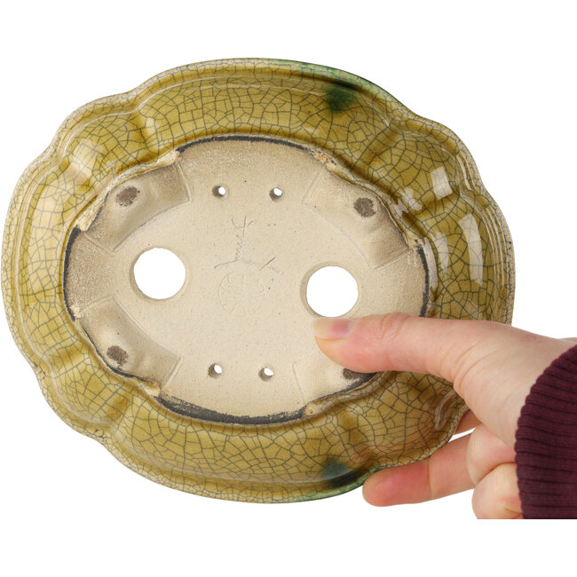 Lotusgelbes Craquelé mit grünem Akzent, Bonsaischale von Terahata Satomi Mazan – 182 x 154 x 48 mm