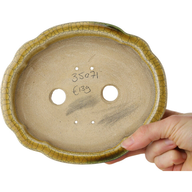 Lotus yellow craquelé with a green accent bonsai pot by Terahata Satomi Mazan - 182 x 154 x 48 mm