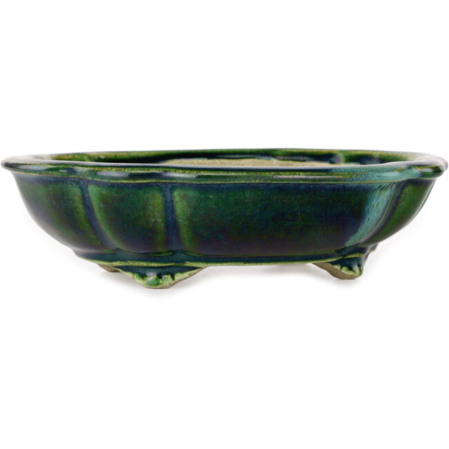 Maceta de bonsái verde loto con detalles en azul de Terahata Satomi Mazan - 182 x 154 x 48 mm