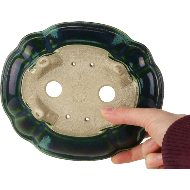 Pot à bonsaï vert lotus avec accent bleu par Terahata Satomi Mazan - 182 x 154 x 48 mm