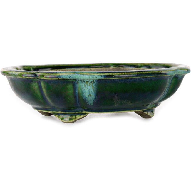 Lotus green with a blue accent bonsai pot by Terahata Satomi Mazan - 182 x 154 x 48 mm