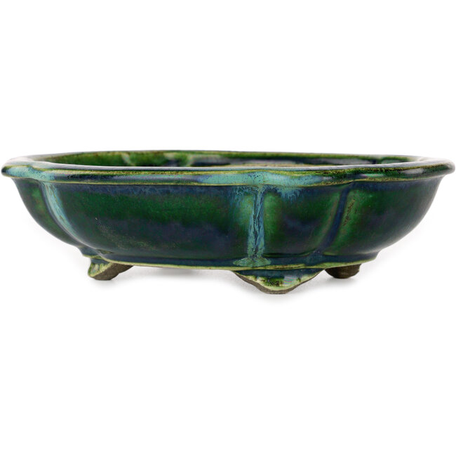 Lotus green with a blue accent bonsai pot by Terahata Satomi Mazan - 182 x 154 x 48 mm