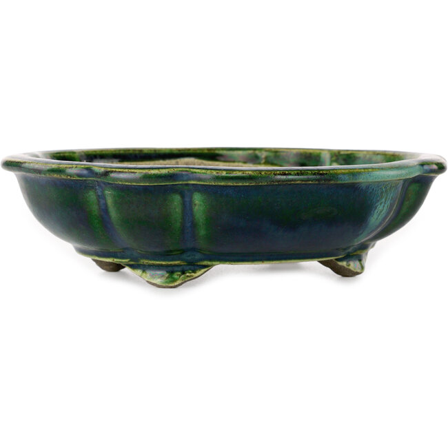 Maceta de bonsái verde loto con detalles en azul de Terahata Satomi Mazan - 182 x 154 x 48 mm