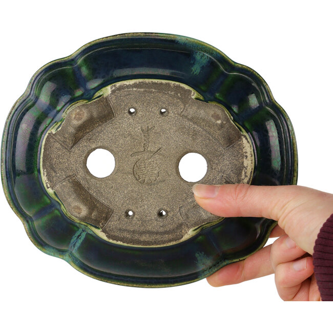 Vaso bonsai verde loto con accenti blu di Terahata Satomi Mazan - 182 x 154 x 48 mm