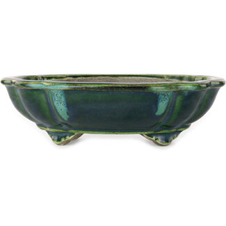  Satomi Mazan, Mazan Terahata Vaso bonsai verde loto da 203 mm con accenti blu di Terahata Satomi Mazan, Tokoname, Giappone