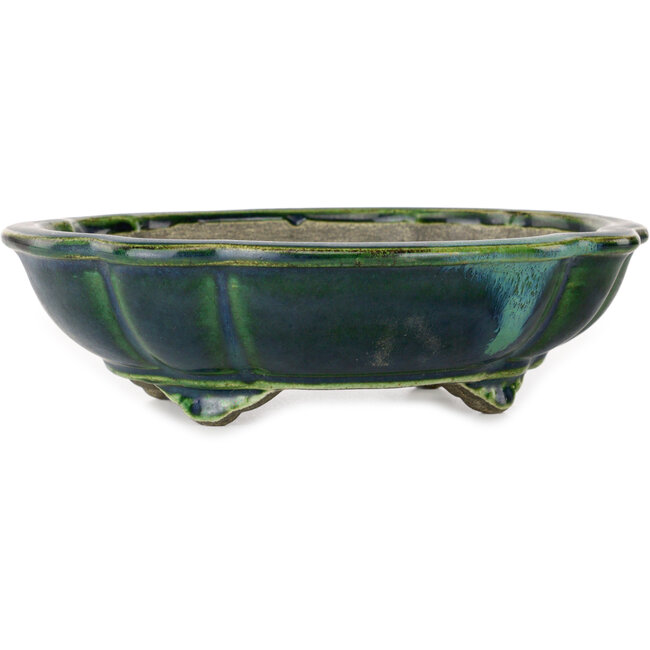 Pot à bonsaï vert lotus avec accent bleu par Terahata Satomi Mazan - 203 x 175 x 55 mm
