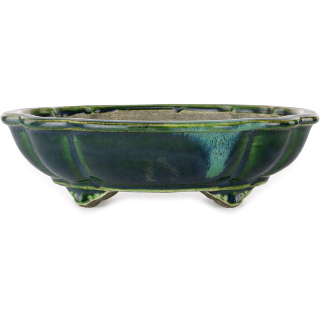 Pot à bonsaï vert lotus avec accent bleu par Terahata Satomi Mazan - 203 x 175 x 55 mm