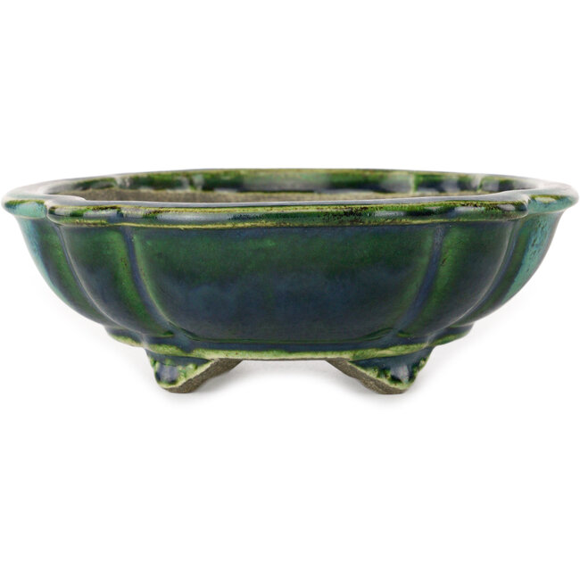 Lotus green with a blue accent bonsai pot by Terahata Satomi Mazan - 203 x 175 x 55 mm