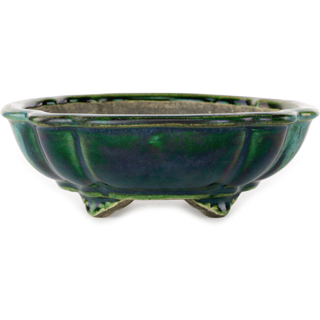 Lotus green with a blue accent bonsai pot by Terahata Satomi Mazan - 203 x 175 x 55 mm