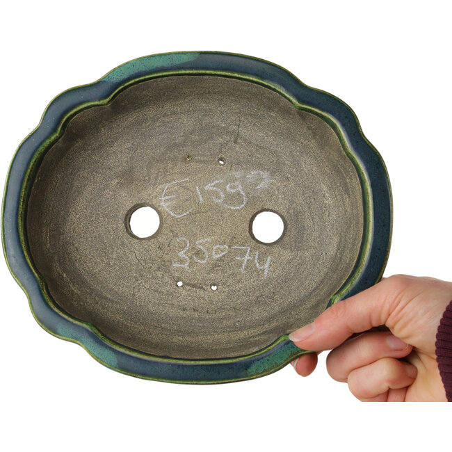 Lotusgrüner Bonsaitopf mit blauem Akzent von Terahata Satomi Mazan – 203 x 175 x 55 mm