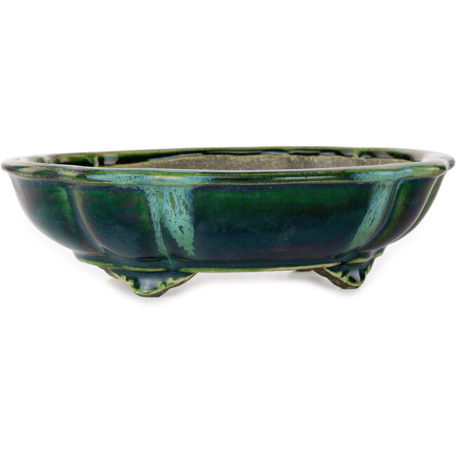 Lotus green with a blue accent bonsai pot by Terahata Satomi Mazan - 203 x 175 x 55 mm