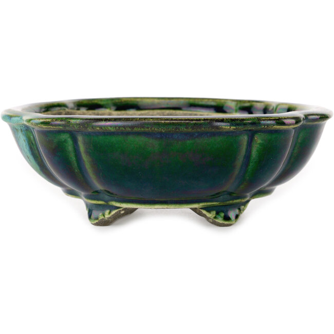 Vaso bonsai verde loto con accenti blu di Terahata Satomi Mazan - 203 x 175 x 55 mm