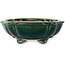 Lotus green with a blue accent bonsai pot by Terahata Satomi Mazan - 203 x 175 x 55 mm