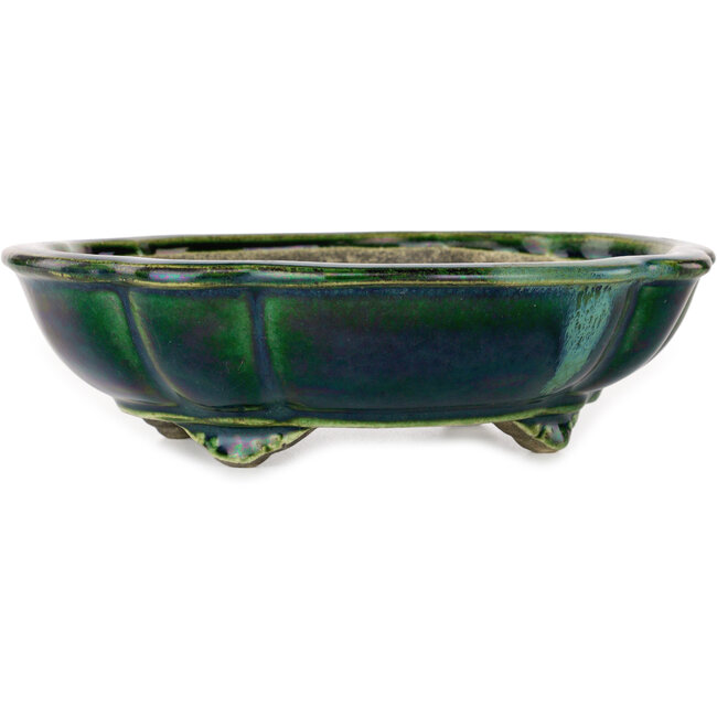 Lotusgroen met blauw accent bonsaipot van Terahata Satomi Mazan - 203 x 175 x 55 mm