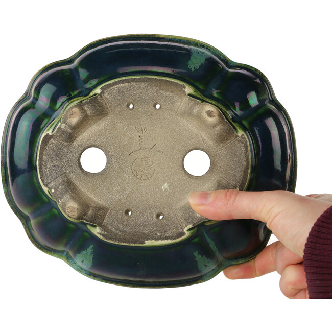 Lotus green with a blue accent bonsai pot by Terahata Satomi Mazan - 203 x 175 x 55 mm