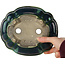 Lotus green with a blue accent bonsai pot by Terahata Satomi Mazan - 203 x 175 x 55 mm