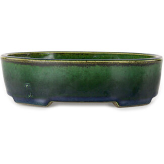  Satomi Mazan, Mazan Terahata 192 mm ovaler grüner Bonsaitopf von Terahata Satomi Mazan, Tokoname, Japan