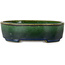 Pot à bonsaï ovale vert par Terahata Satomi Mazan - 192 x 160 x 55 mm