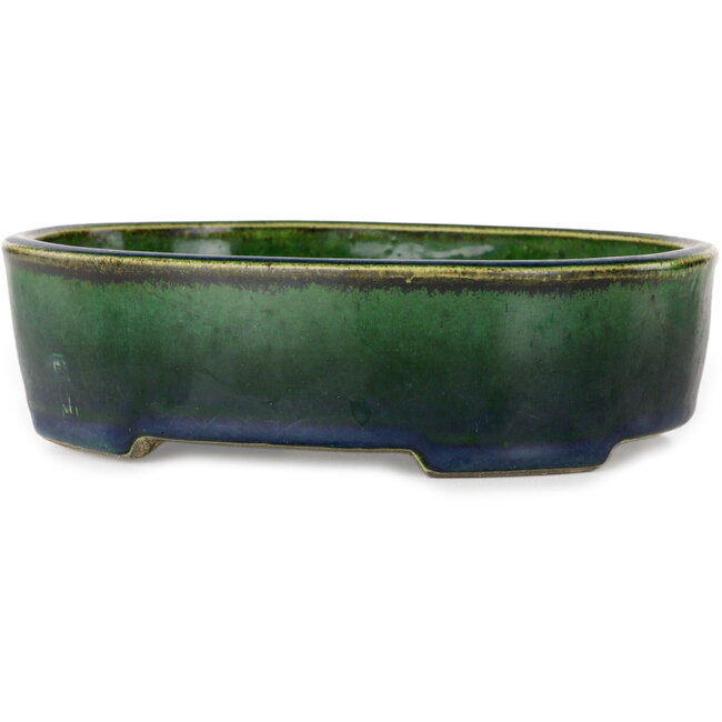 Maceta ovalada para bonsái verde de Terahata Satomi Mazan - 192 x 160 x 55 mm