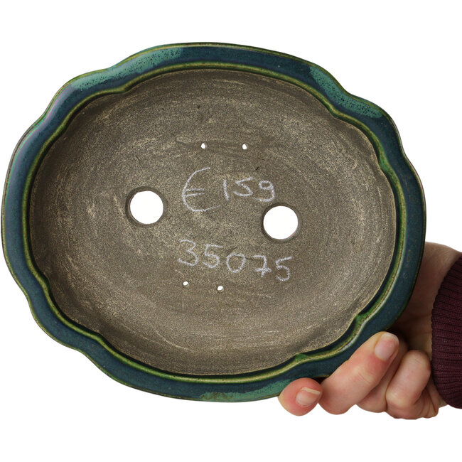 Lotus green with a blue accent bonsai pot by Terahata Satomi Mazan - 203 x 175 x 55 mm