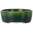 Oval green bonsai pot by Terahata Satomi Mazan - 192 x 160 x 55 mm