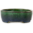 Maceta ovalada para bonsái verde de Terahata Satomi Mazan - 192 x 160 x 55 mm
