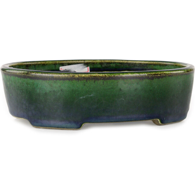 Ovale groene bonsaipot van Terahata Satomi Mazan - 192 x 160 x 55 mm