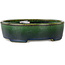 Vaso bonsai ovale verde di Terahata Satomi Mazan - 192 x 160 x 55 mm