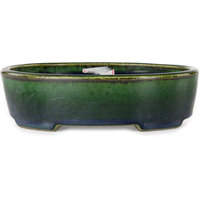 Vaso bonsai ovale verde di Terahata Satomi Mazan - 192 x 160 x 55 mm