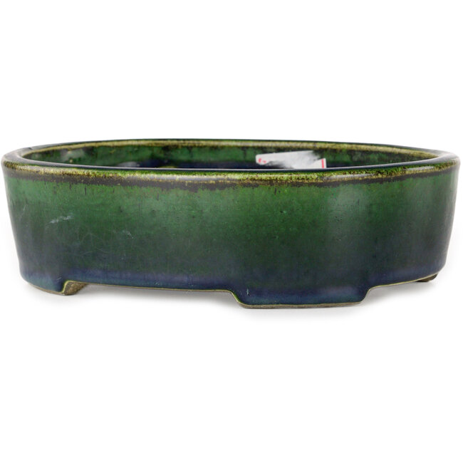 Ovale groene bonsaipot van Terahata Satomi Mazan - 192 x 160 x 55 mm