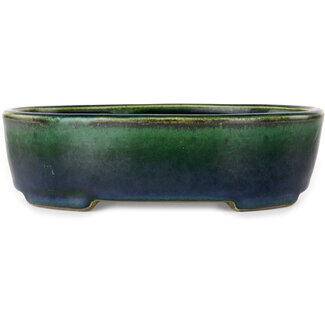  Satomi Mazan, Mazan Terahata Vaso bonsai verde ovale da 192 mm di Terahata Satomi Mazan, Tokoname, Giappone