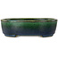 Vaso bonsai ovale verde di Terahata Satomi Mazan - 192 x 160 x 55 mm