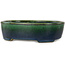 Pot à bonsaï ovale vert par Terahata Satomi Mazan - 192 x 160 x 55 mm