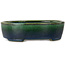 Maceta ovalada para bonsái verde de Terahata Satomi Mazan - 192 x 160 x 55 mm
