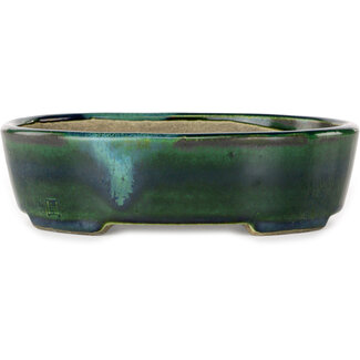  Satomi Mazan, Mazan Terahata 192 mm ovale grüne Bonsaischale mit blauem Akzent von Terahata Satomi Mazan, Tokoname, Japan