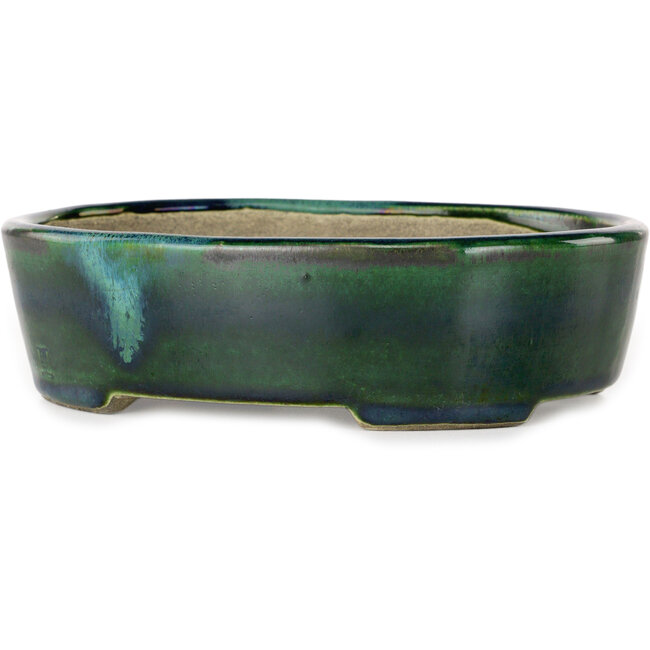 Vaso bonsai ovale verde con accenti blu di Terahata Satomi Mazan - 192 x 160 x 55 mm