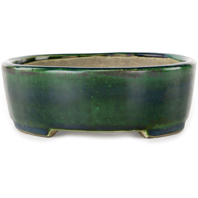 Ovaal groen met blauw accent bonsaipot van Terahata Satomi Mazan - 192 x 160 x 55 mm