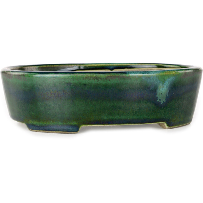 Maceta ovalada para bonsái verde con detalles en azul de Terahata Satomi Mazan - 192 x 160 x 55 mm