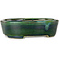 Maceta ovalada para bonsái verde con detalles en azul de Terahata Satomi Mazan - 192 x 160 x 55 mm