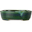 Pot à bonsaï ovale vert avec accent bleu par Terahata Satomi Mazan - 192 x 160 x 55 mm