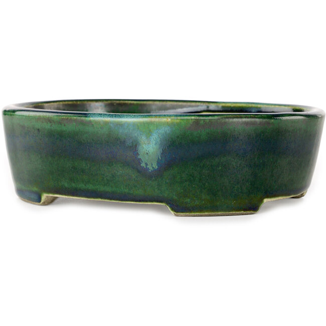 Vaso bonsai ovale verde con accenti blu di Terahata Satomi Mazan - 192 x 160 x 55 mm