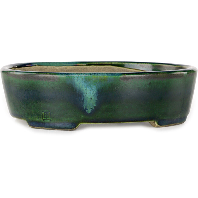 Pot à bonsaï ovale vert avec accent bleu par Terahata Satomi Mazan - 192 x 160 x 55 mm