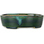 Vaso bonsai ovale verde con accenti blu di Terahata Satomi Mazan - 192 x 160 x 55 mm