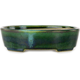  Satomi Mazan, Mazan Terahata Pot à bonsaï ovale vert de 192 mm avec un accent bleu par Terahata Satomi Mazan, Tokoname, Japon